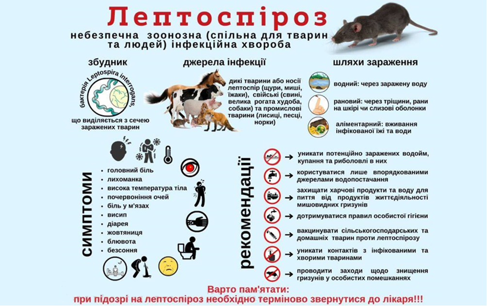 ліпто
