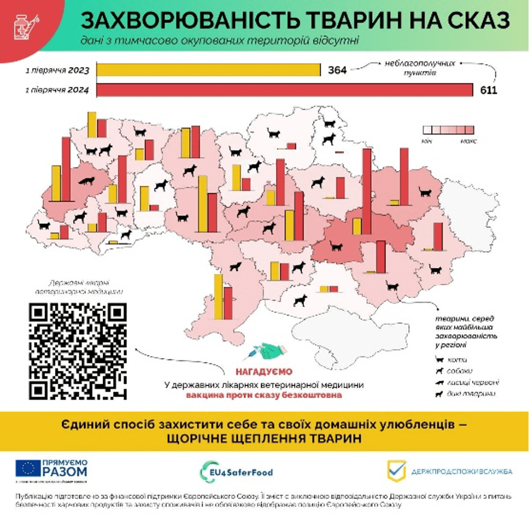 сказ 1 1
